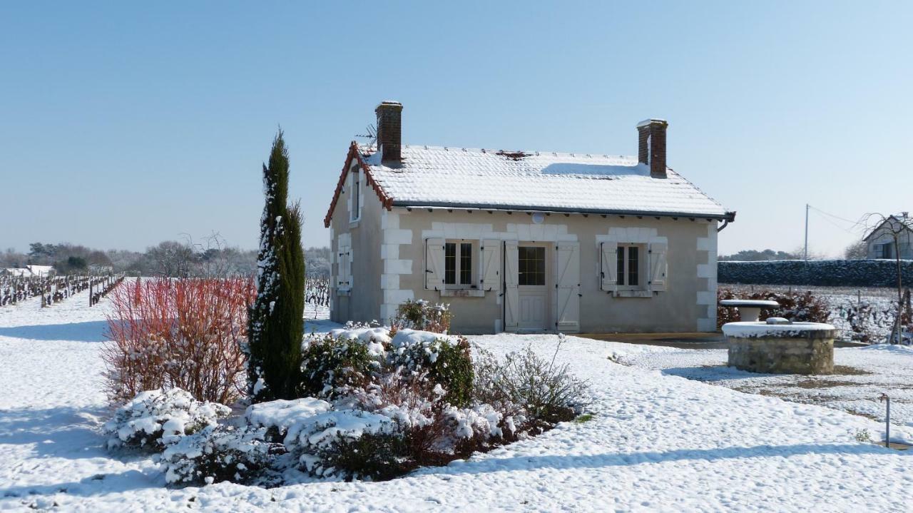 L'Ecrin Au Coeur Des Vignes Villa Saint-Georges-sur-Cher Luaran gambar