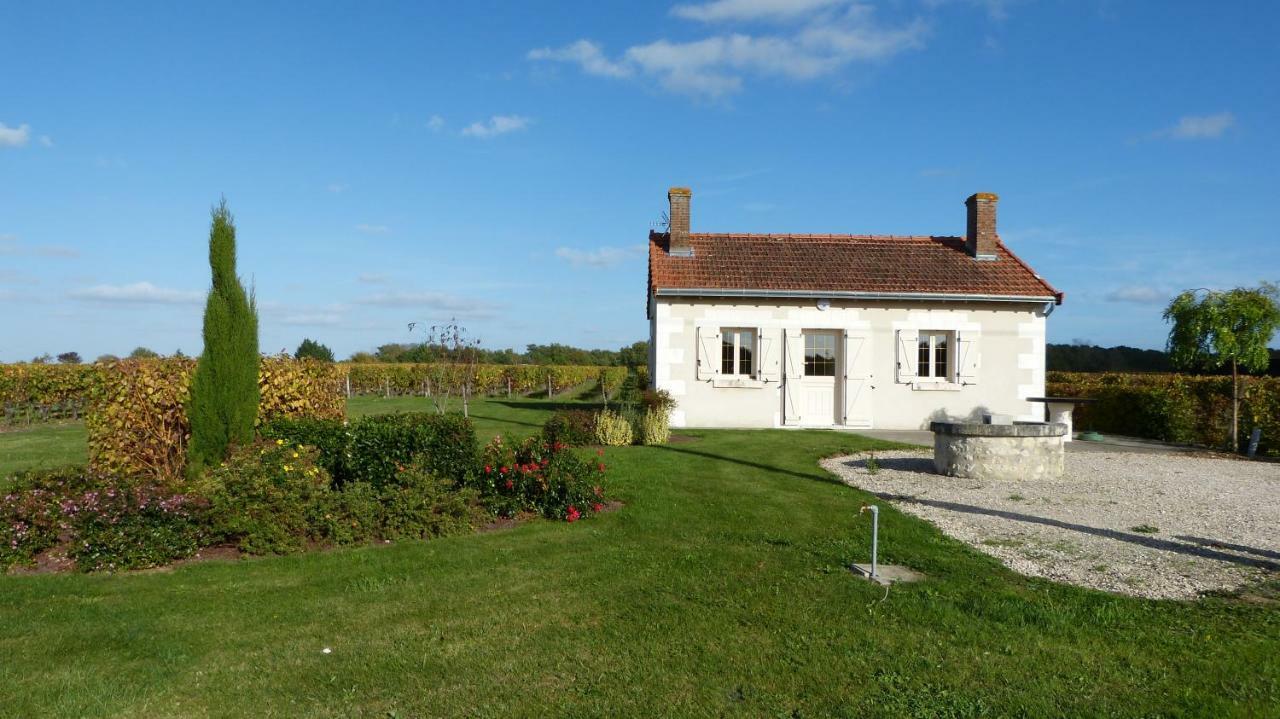 L'Ecrin Au Coeur Des Vignes Villa Saint-Georges-sur-Cher Luaran gambar