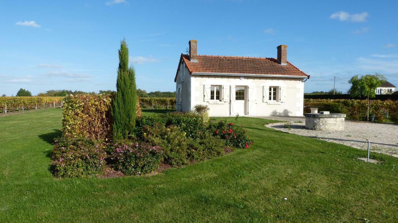L'Ecrin Au Coeur Des Vignes Villa Saint-Georges-sur-Cher Luaran gambar